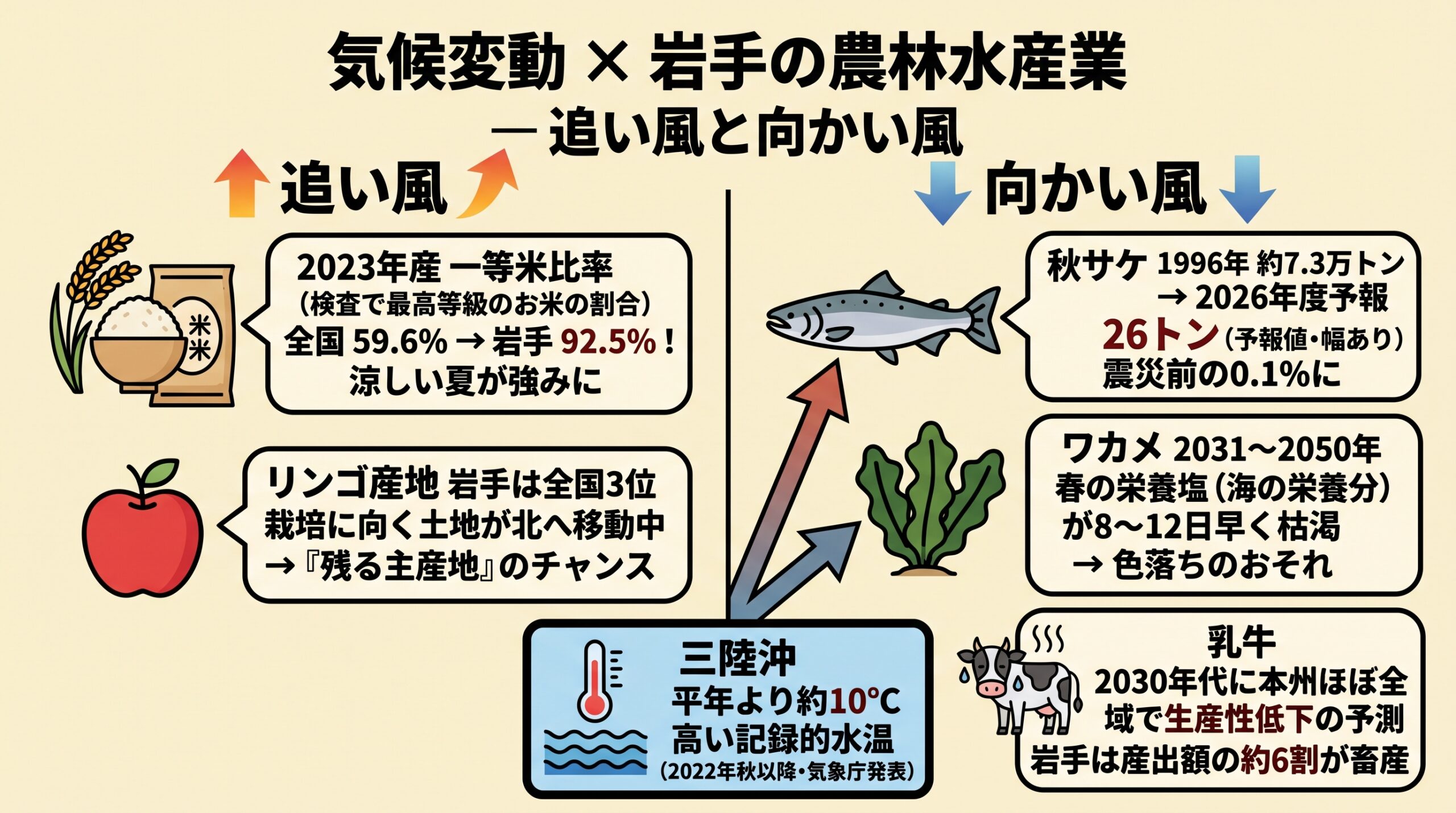 「 岩手 農業 気候変動 」の影響を追い風と向かい風で対比したインフォグラフィック。追い風はお米(2023年産一等米比率 全国59.6%に対し岩手92.5%)とリンゴ(全国3位・適地北上)、向かい風は秋サケ(2026年度回帰予報26トン・震災前の0.1%)、ワカメ(2031〜2050年に栄養塩枯渇が8〜12日早期化)、乳牛(2030年代に本州で生産性低下予測・岩手は産出額の約6割が畜産)。原因として三陸沖の平年より約10℃高い記録的水温を図示